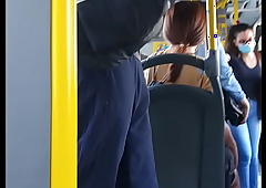 Bulgue itty-bitty ônibus gain Transcol em Vitória ES
